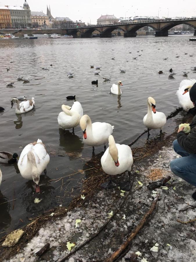 Apartment Vltava 布拉格 外观 照片
