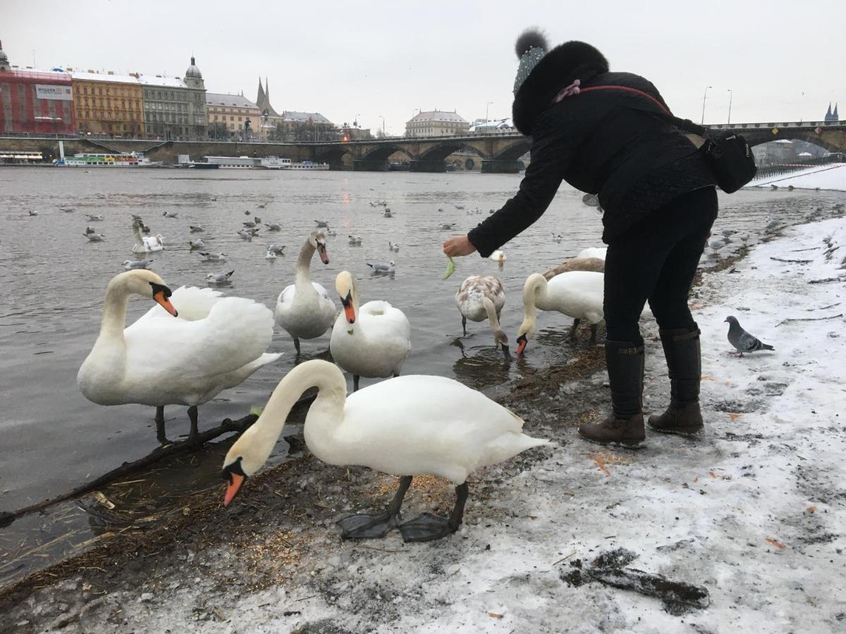 Apartment Vltava 布拉格 外观 照片